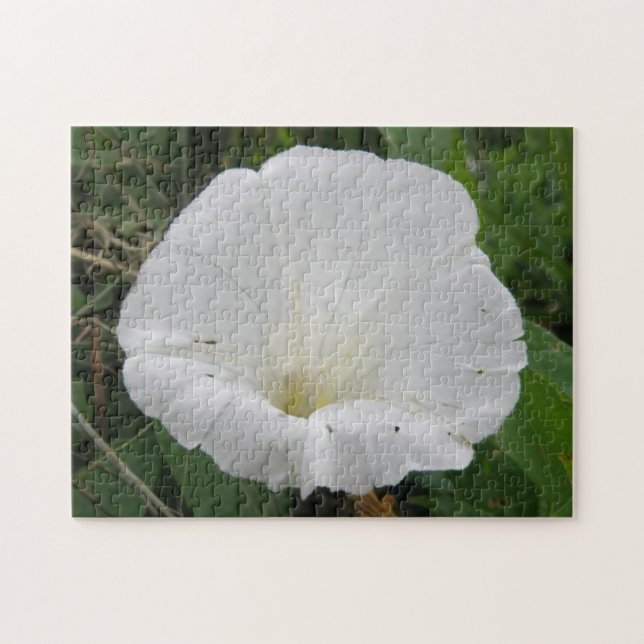 Joli Puzzle blanc Convolvulus Flower (Horizontal)