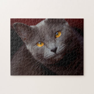 Joli puzzle Chartreux