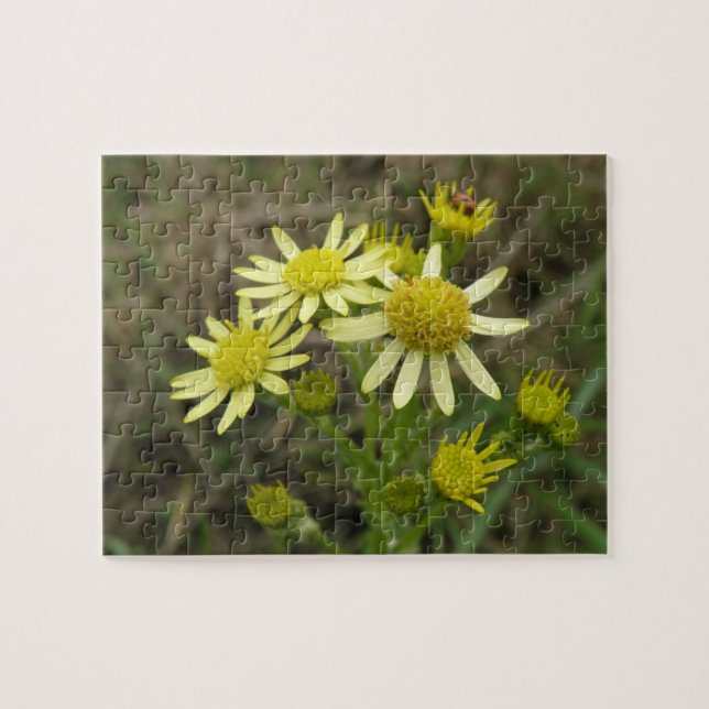 Joli puzzle Fleur sauvage jaune (Horizontal)