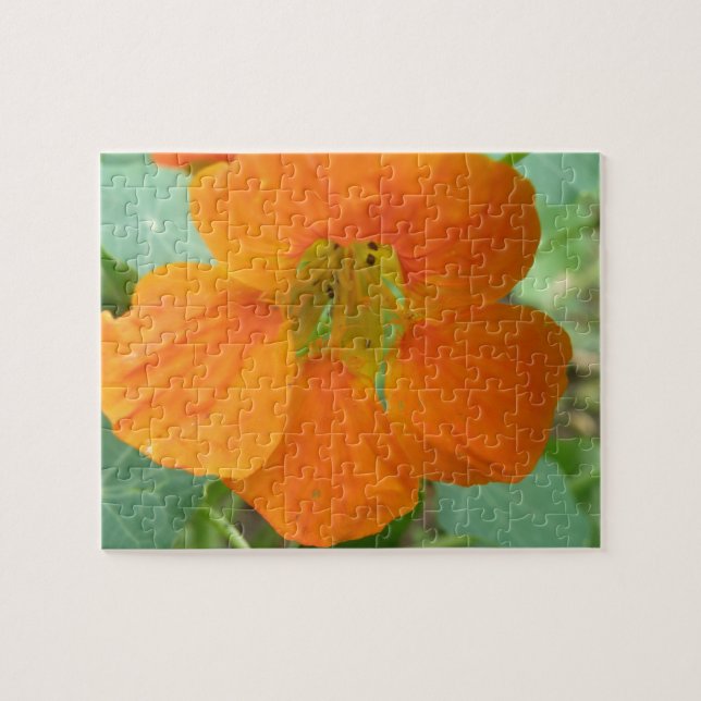 Joli Puzzle Orange Nasturtium Flower (Horizontal)