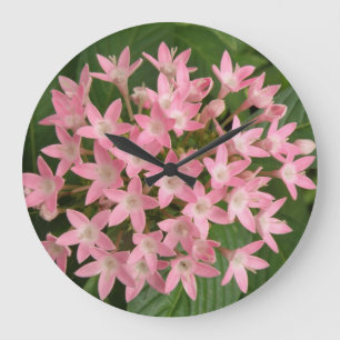 Joli rose Fleurs tropicales Horloge murale