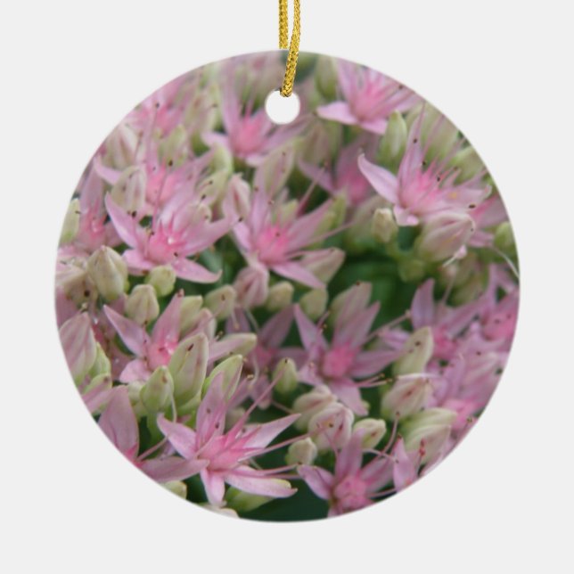 Joli rose Fleurs Tropicales Ornements (Devant)