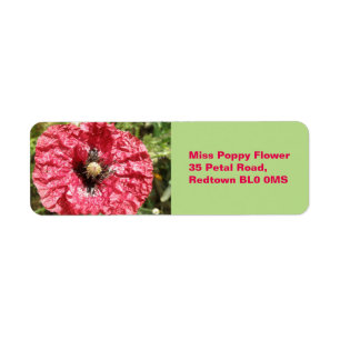 Joli rouge Fleur de pavot Macro Étiquettes personn