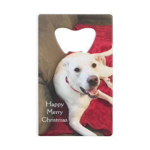 Joli sourire blanc chiot chien Noël rouge