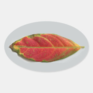 Joli sticker ovale feuille rouge, scellant, étique