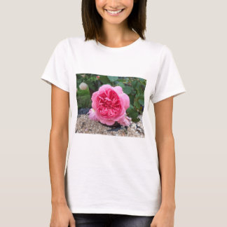 Joli T-shirt Fleur De Rose Rose Florale Jardinage