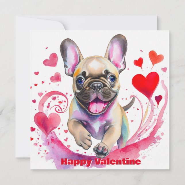 Joli Valentin Bouledogue Français (Devant)