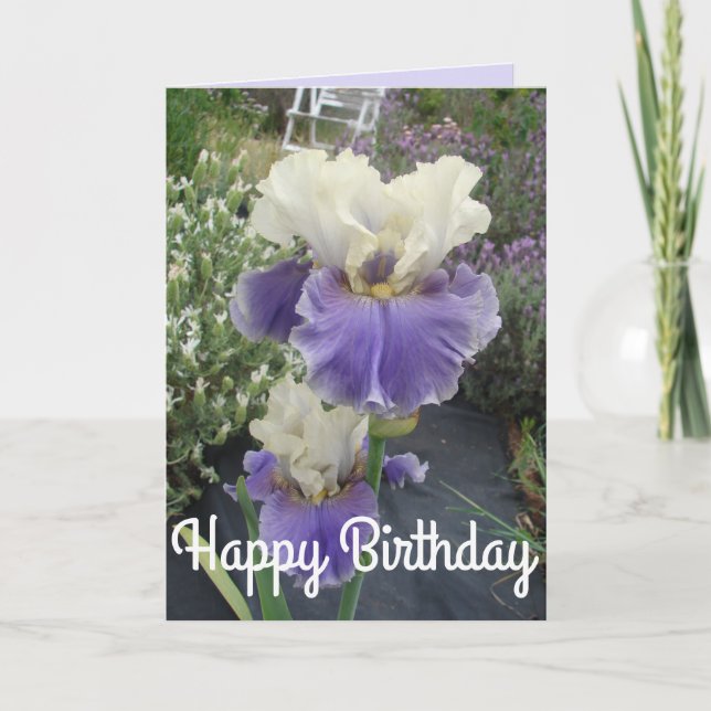 Joli violet Iris Flower Photo Carte Anniversaire (Devant)