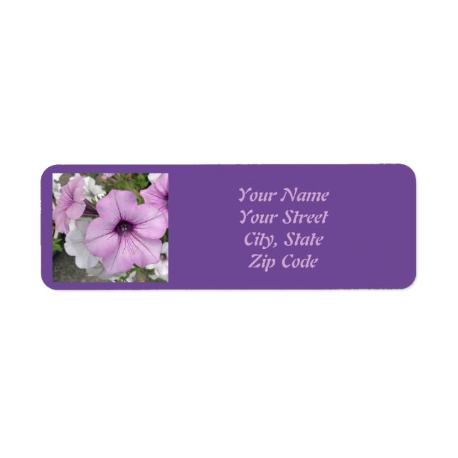 Joli violet Petunia Étiquette photo (Devant)