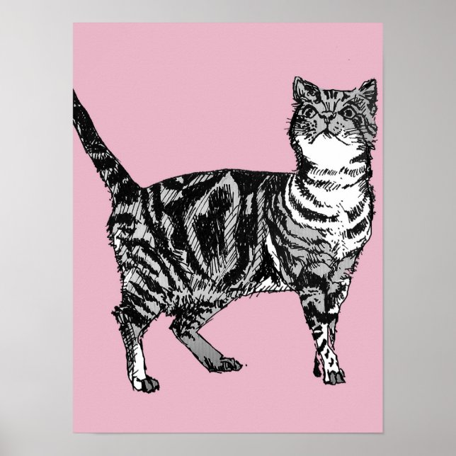 Jolie affiche d'art de chat tigré rayé rose (Devant)