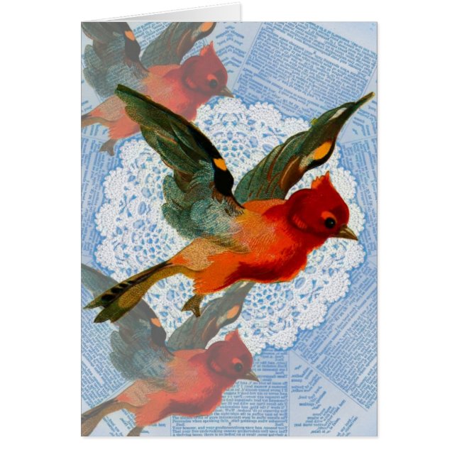 Jolie Birdie (Devant)