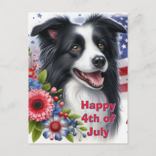 Jolie Bordure Collie 4 juillet Carte postale