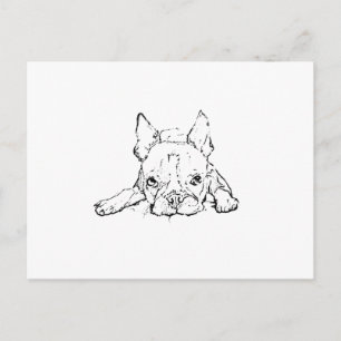 Jolie Bouledogue Français, Carte Postale Personnal