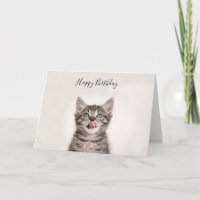 Jolie carte d'anniversaire de chaton tabby