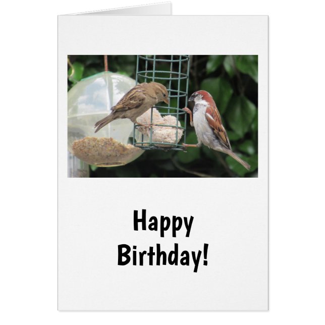 Jolie carte d'anniversaire des petits oiseaux (Devant)