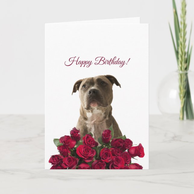 Jolie carte d'anniversaire pour les Roses de Chien (Devant)