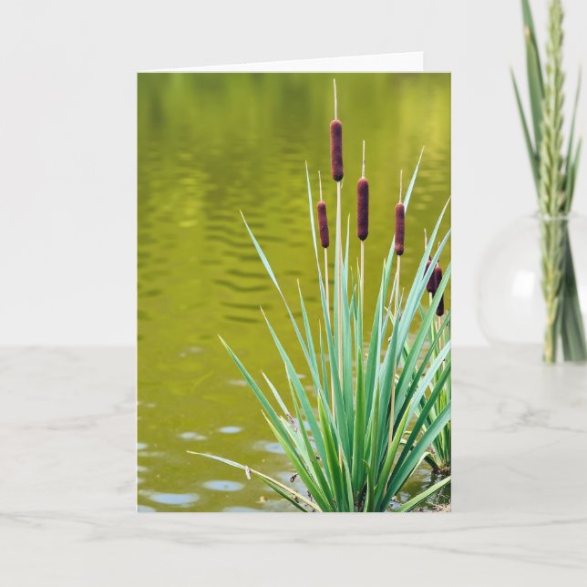 Jolie carte de fête des mères Reed (Devant)