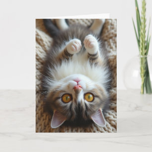 Jolie carte de fête des pères en pose féline