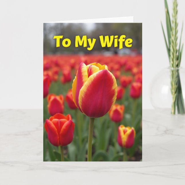 Jolie carte de fleur de tulipe (Devant)