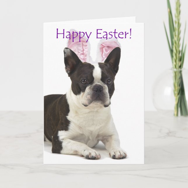 Jolie carte de Pâques pour Boston Terrier (Devant)