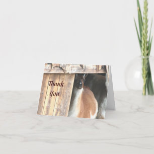 Jolie Carte de remerciements animal de ferme Llama