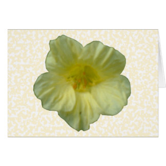 Jolie carte de voeux Fleur Nasturtium