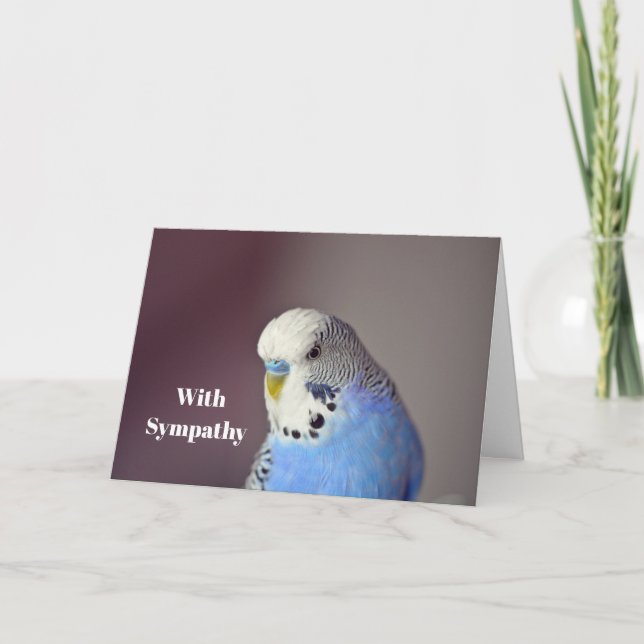 Jolie carte photo photo Budgie bleu (Devant)