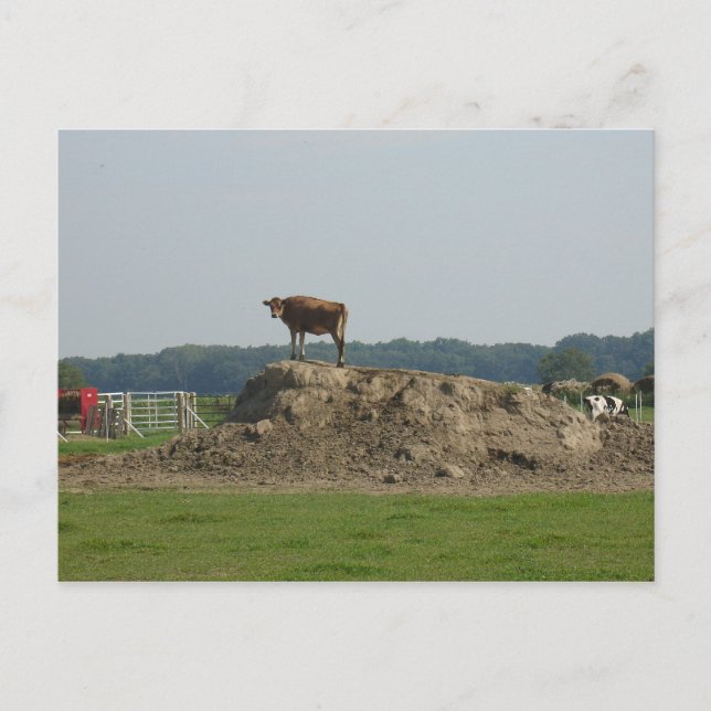 jolie carte postale (Devant)