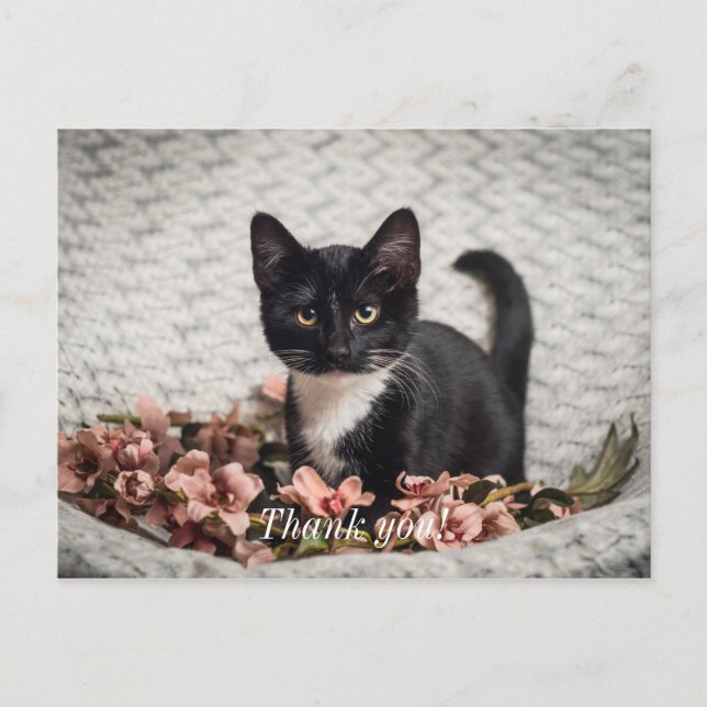 Jolie carte postale Rose Bella Merci (Devant)