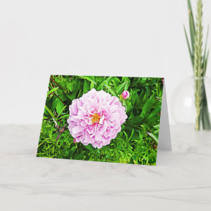 Jolie carte vierge aux pivoines roses