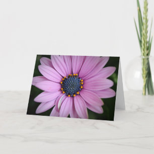 Jolie carte violette africaine Daisy Flower Art