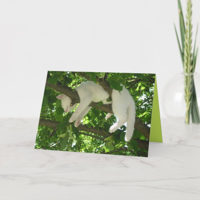 Jolie Chat Chaton Mignonne Carte Personnalisable (Devant)