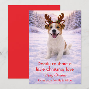 Jolie Chien avec Citation Tendre de Noël  Carte de
