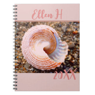 Jolie coquille rose sur la plage Journal de l'anné