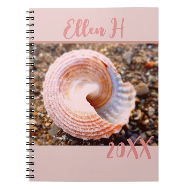 Jolie coquille rose sur la plage Journal de l'anné (Devant)