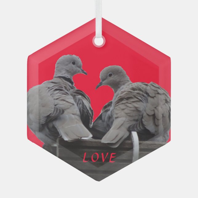 Jolie croûte de Lovebirds. Ornement en verre texte (Recto)