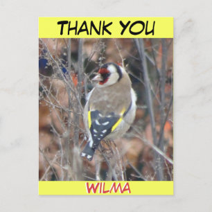 Jolie croûte Goldfinch. Carte postale MERCI texte