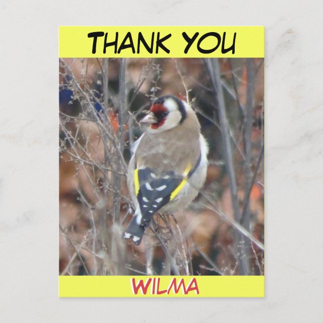 Jolie croûte Goldfinch. Carte postale MERCI texte (Devant)