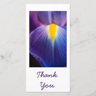 Jolie dans Purple Iris Merci Cartes