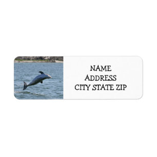 **JOLIE DOLPHIN** ÉTIQUETTES DE ADRESSE