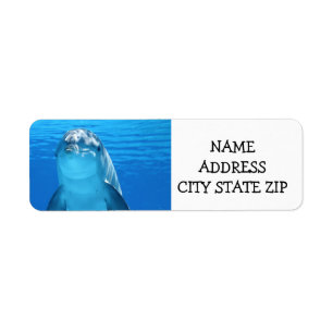 **JOLIE DOLPHIN** ÉTIQUETTES DE ADRESSE