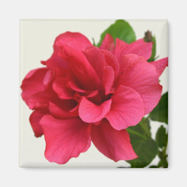 Jolie en rose - Aimant (Devant)