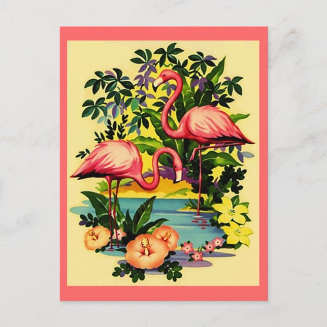JOLIE FLAMANTS ROSES ROSE EN CARTE POSTALE TROPICA (Devant)