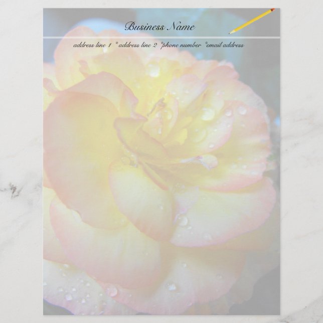jolie fleur de bégonia jaune (Devant)
