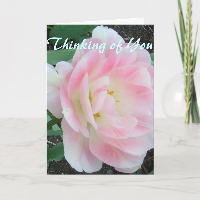 Jolie Fleur Rose Blanc Obtenir Bonne Carte Bientôt (Devant)