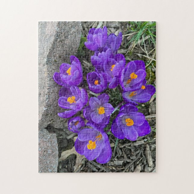 Jolie Fleurs de Crocus pourpres dans Puzzles de Ja (Vertical)