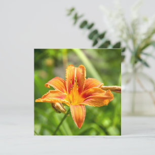 Jolie grande photo de fleur de Lys