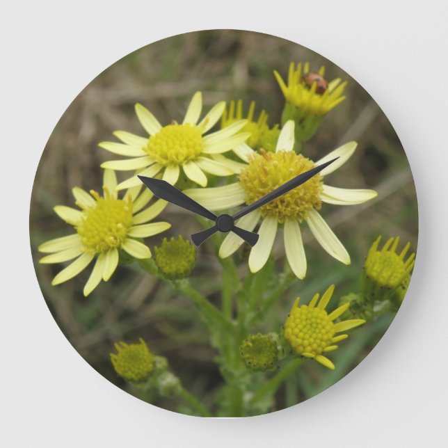 Jolie horloge murale Fleur sauvage Jaune (Recto)