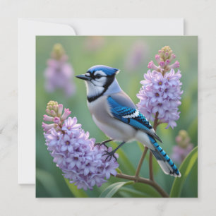 Jolie Jay Bleue debout sur les Branches Lilac