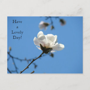 Jolie journée ! carte postale Magnolia blanc print